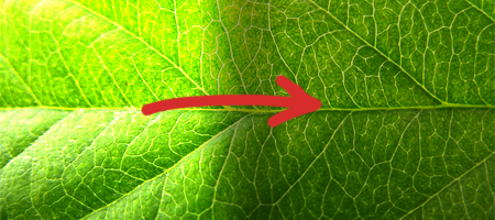 1379196425-U945952.png
