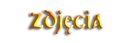 1384554134-U336505.png