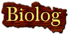 1385740981-U970446.png