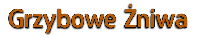 1392757076-U719057.png