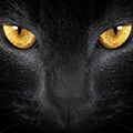 1396628556-U220780.png