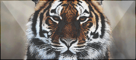 1399022872-U531369.png