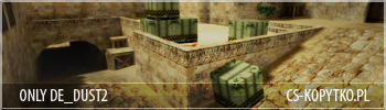 banner_dd2.png