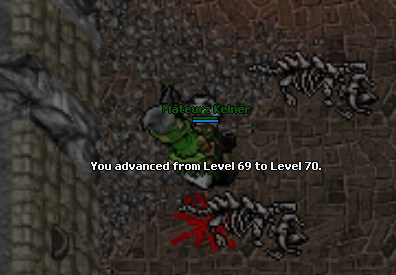 1492714530353331312226.jpeg
