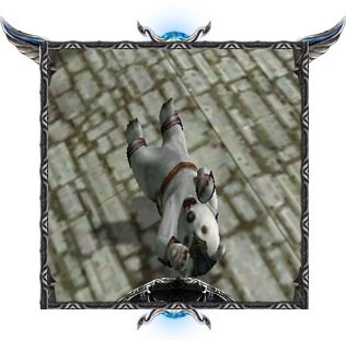 1500814204935981317980.png