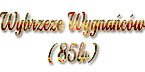 nwnz.png