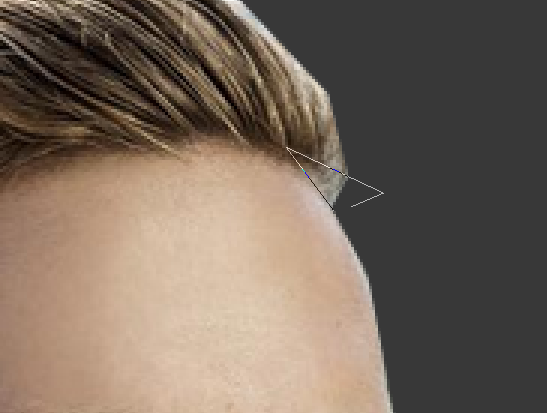 172861438867732945952.png