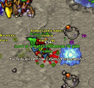 ycoi1a.jpg