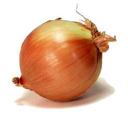 cebula-jadalna-allium-cepa.jpg