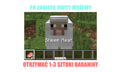 186291404334117950411.png