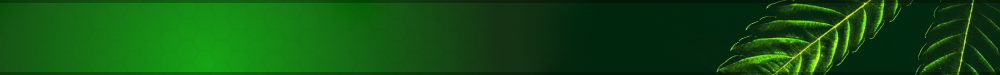 188681473928900729602.png