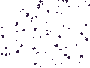 202571471443291974005.gif