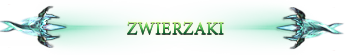 2099014038346431133619.png