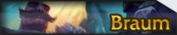 Braum-New-Portrait2.jpg