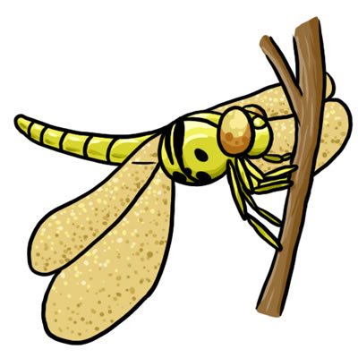 11-free-dragonfly-clip-art-l.jpg