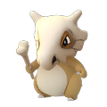 232171469210750968565.png