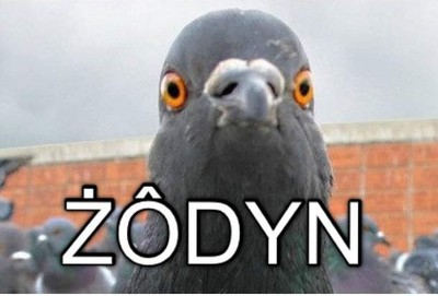 comment_FeSPR62Vl9wKjpzpV33nl4dfRVVZatKS