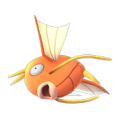 268781469210750968565.png