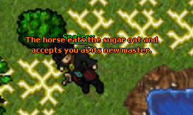 286381409767067309333.png