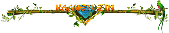 kamien%20zin.png