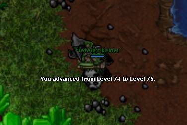 2974614534172751312226.jpeg