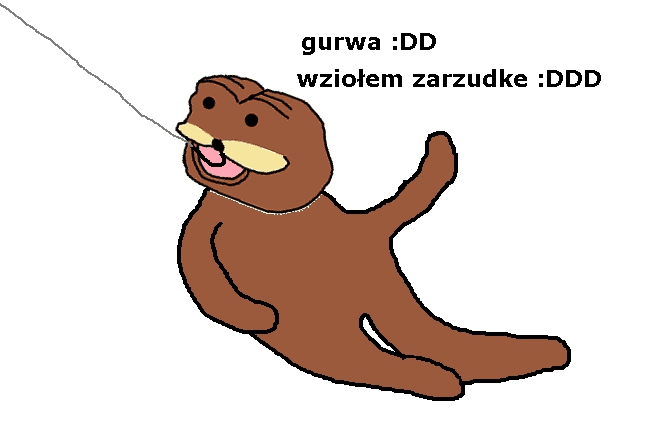 3066914650456961360387.jpeg