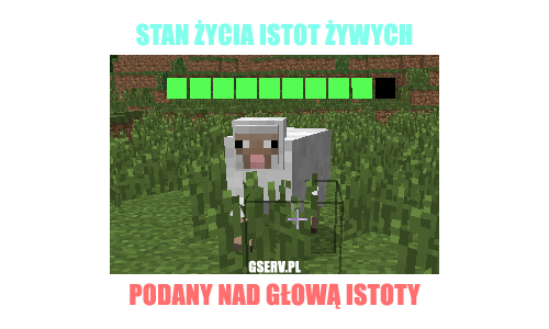 309411404334117950411.png