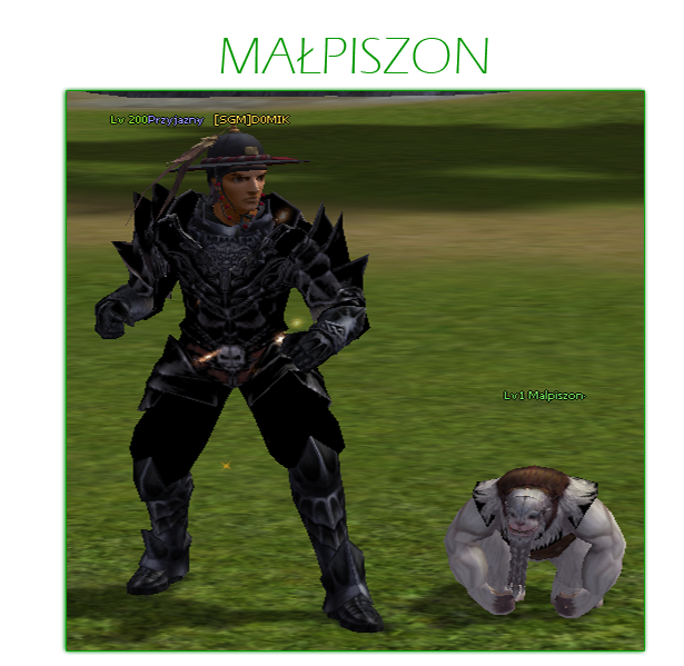 petmalpiszon.png