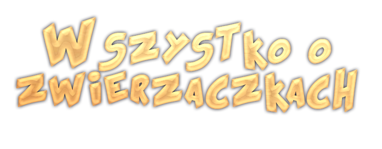 3122214090887701138521.png