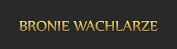 02580325170939344036.png