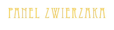 3397914196997911309613.png