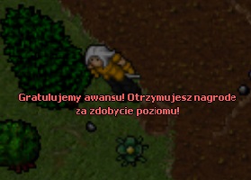 b6tv8n.jpg