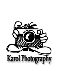 353421405327970850633.png