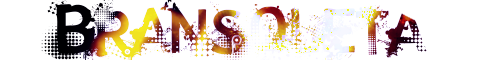 bransoleta.png