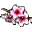 3632014039548541172753.png