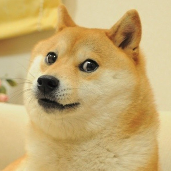 Doge.png