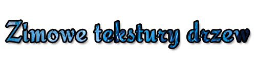 be5586d2552512a5gen.png