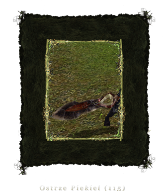 398261419622099333662.png