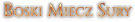 413151403547536309333.png