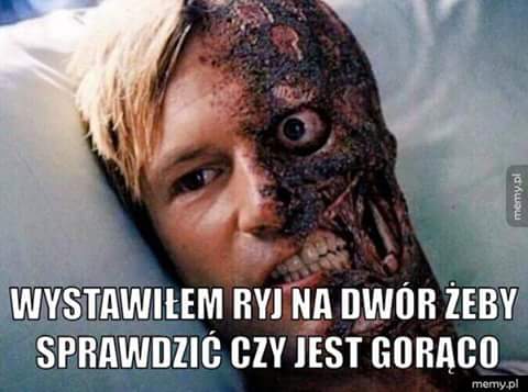 4234914390550191403620.jpeg