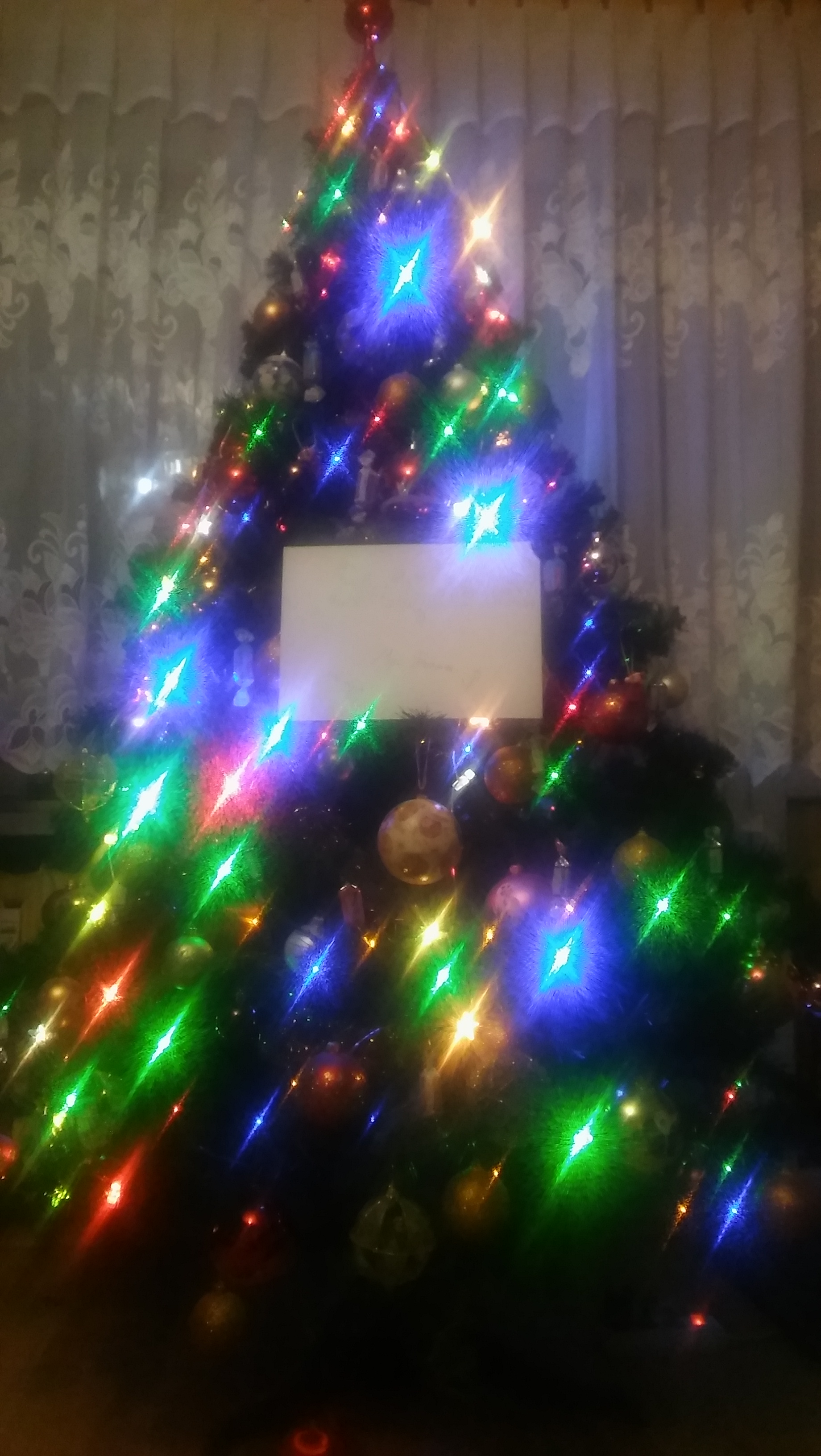 431391451332892998583.jpeg