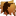 4333614831503611237309.png