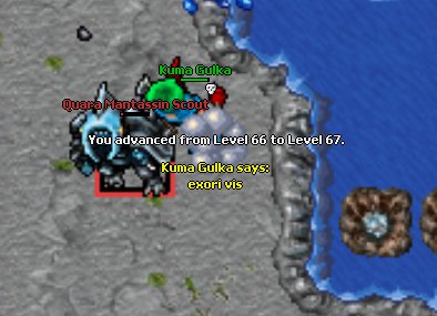 2m494k.jpg