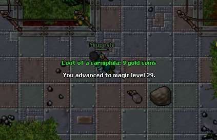 441951419854715524969.jpeg