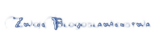 4507014043193681194892.png
