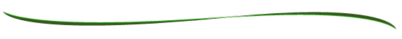 46735281745570585356.png