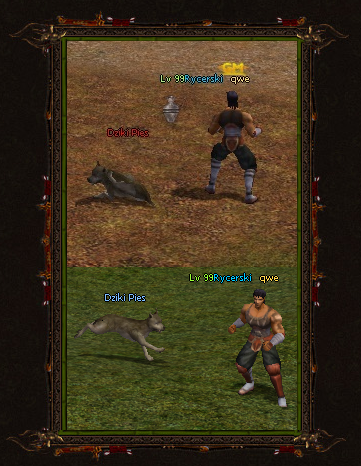 462701433495893177756.png