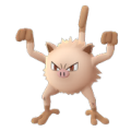 492241469210750968565.png