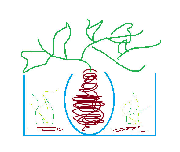 5133314457766121440817.png