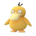 517671469210750968565.png